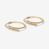 Celvin hoops