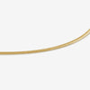 Eli snake chain necklace