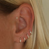 Marmot huggie piercing