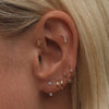 Lincoln star u hoop piercing