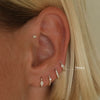 Marmot huggie piercing