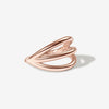 Peng cage clicker hoop