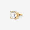 Gold Claw Diamond(wp)