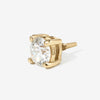 Gold Claw Diamond(wp)