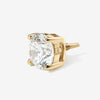 Gold Claw Diamond(wp)